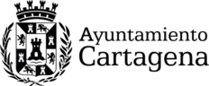 Cartagena City Council